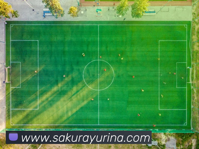 电竞数据